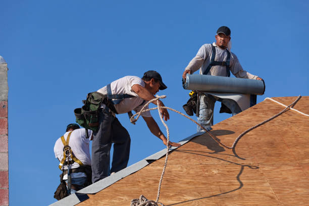 Best Flat Roof Repair Services  in Urbana, IA